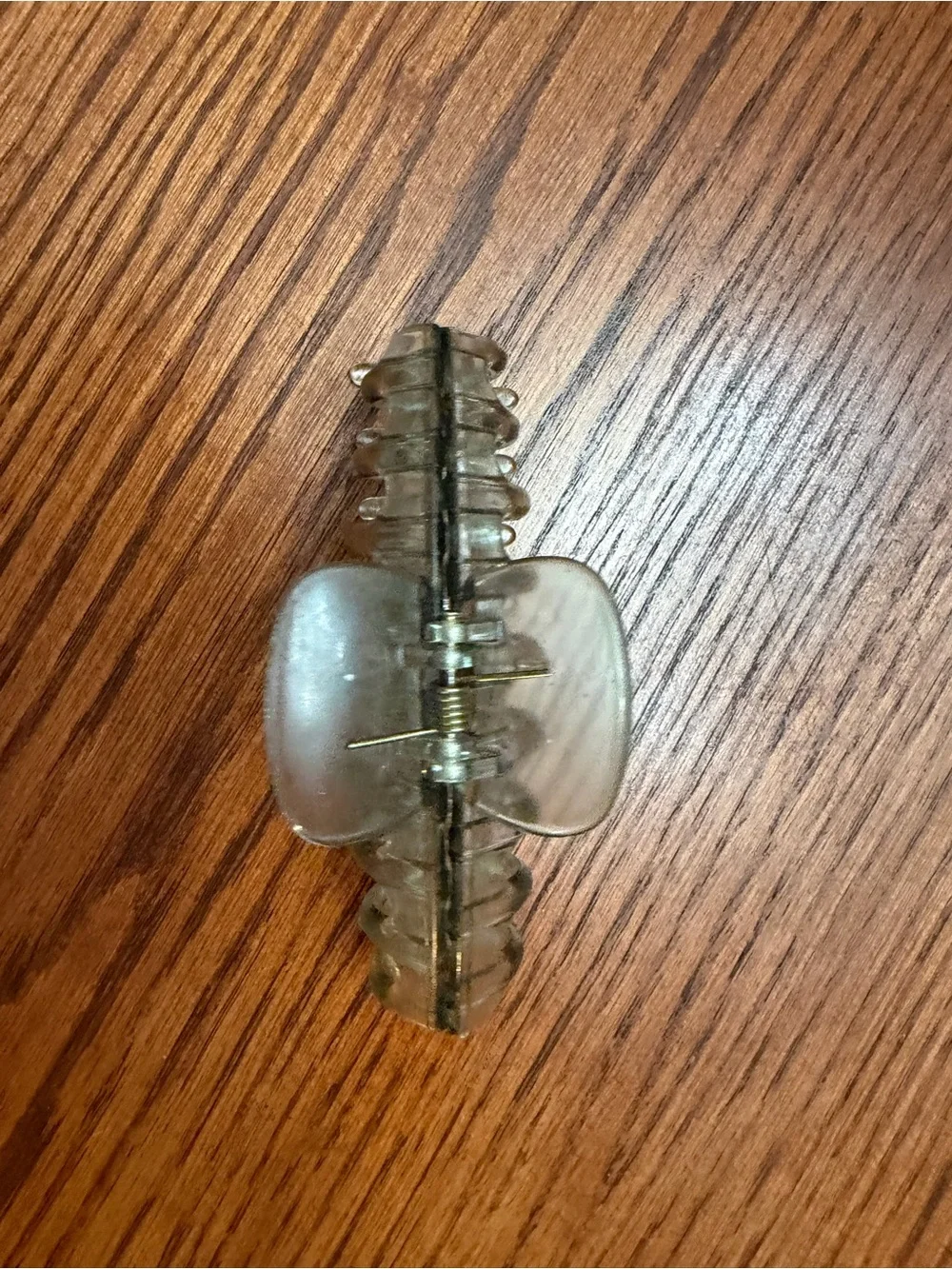 Clear Green Hair Claw Clip - Lightweight Styling Accessory